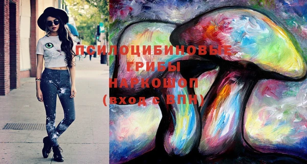 тгк Алексеевка