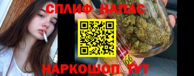 гидропоника Тавда