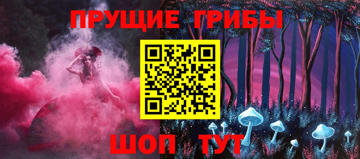 Богородицк  Псилоцибиновые грибы мухоморы  купить   Вход с VPN 