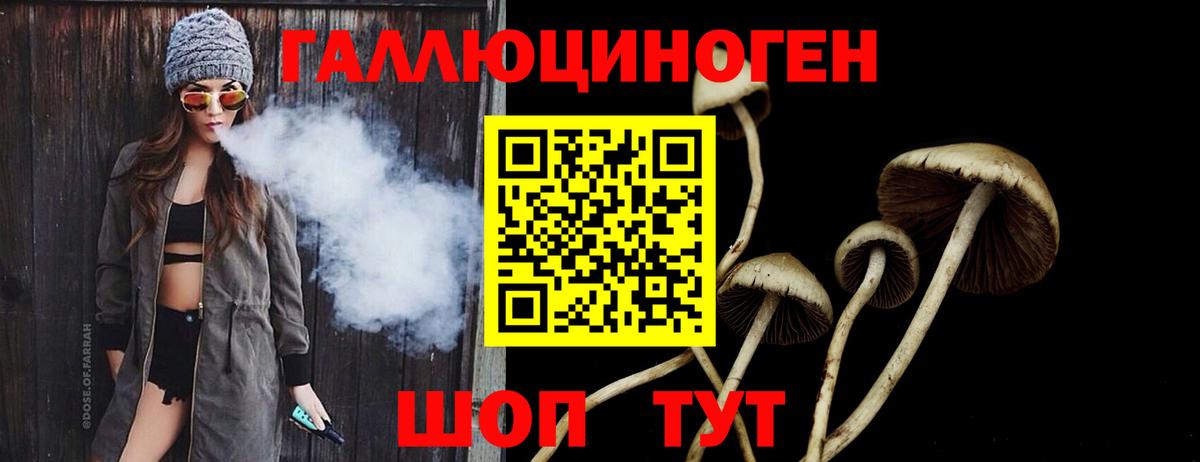Галлюциногенные грибы GOLDEN TEACHER Богородицк
